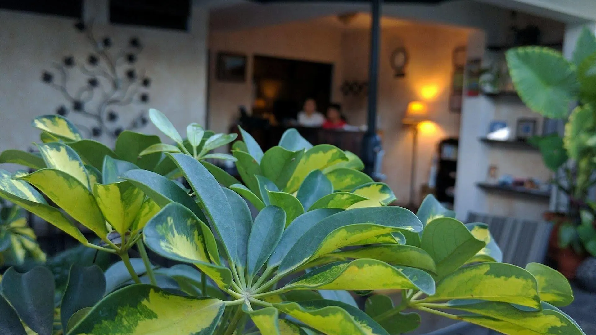 Hotel Posada De La Luna Antigua