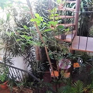 Habitación en casa particular Jungle Chill